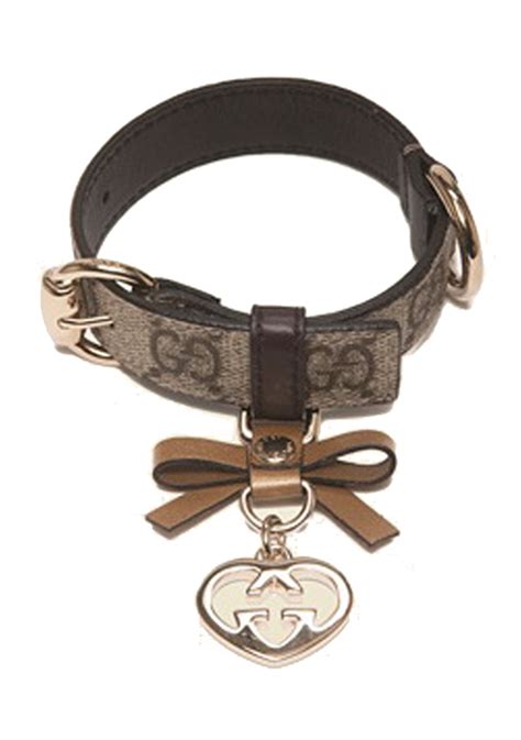 gucci halsband hond